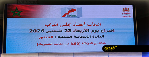 الكاتب العام لعمالة الناظور يكشف النتائج المؤقتة للانتخابات التشريعية بعد فرز 60% من الأصوات