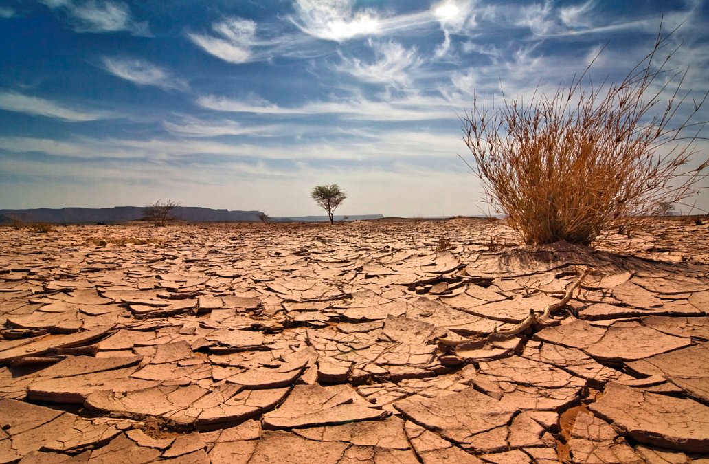 عبر الأقمار الصناعية.. مشروع أوروبي يتنبأ بالتصحر قبل وقوعه في المغرب