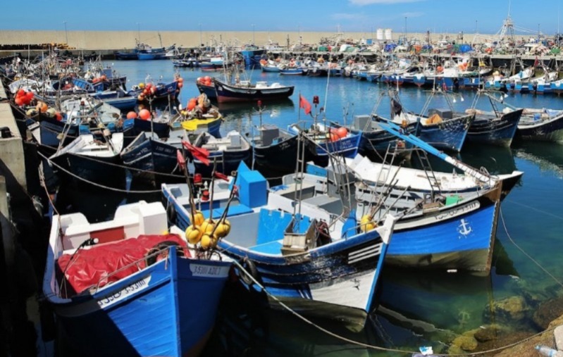 منهيو الصيد بميناء بني أنصار يؤجلون وقفة بعد اجتماع لهم  بعمالة الناظور