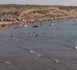 هذه شواطئ بالناظور والحسيمة غير صالحة للاستحمام