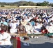 مسلمو مليلية يتخلون طواعية عن ذبح الأضاحي استجابة لنداء الملك محمد السادس