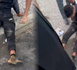 سرقة في سلوان تنتهي بتوقيف الجاني