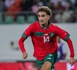 المنتخب المغربي يواجه صدمة قبل الوديات بسبب غياب تيرغالين