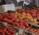 المغرب ضمن أسباب ارتفاع قياسي لأسعار الطماطم في أوروبا