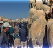 سوق أركمان للمواشي يسجل ركودا ملحوظا وسط شكاوى من ارتفاع الأسعار
