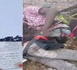 مصرع مهاجرين قرب سبتة خلال محاولة عبور باستعمال طائرة شراعية