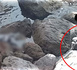 مصرع قاصر بالناظور ونقل شاب بحالة حرجة في حادث "كواد".. ومطالب بفتح تحقيق مع أرباب الدراجات