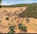 ارتفاع حصيلة الموقوفين في عمليات مكافحة الهجرة غير النظامية بالفنيدق إلى 148 شخصا
