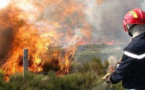 تقرير رسمي يكشف المساحات الغابوية التي اجتاحتها النيران هذه السنة من بينها غابة كوروكو