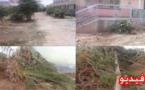 جهات غير معروفة ترتكب جريمة بيئية في حق فضاء ايكولوجي داخل مدرسة اعواذن الكائنة بحي براقة الناظور
