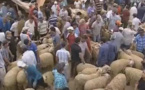 أضاحي العيد بسوق خميس تمسمان 