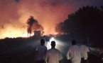 بالفيديو.. حريق مهول يأتي على أزيد من 60 هكتارا من الغطاء الغابوي بمنطقة باب تازة 