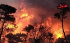 عاجل.. اندلاع حريق مهول تلتهم نيرانه مساحات كبيرة من غابة "بوعاصم" بضواحي الناظور