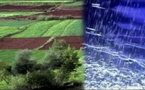 الدريوش.. عودة التساقطات المطرية تحيي آمال الفلاحين في تجاوز الآثار السلبية لموجة الجفاف