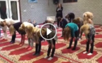 فيديو لتلاميذ هولنديين يعلموهم أحد الائمة الصلاة يثير ضجة في هولندا 