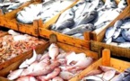 الدريوش.. ارتفاع أسعار السمك بالسوق الأسبوعي يثير تساؤلات مواطنين حول الأسباب