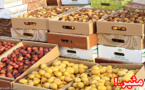 محاولة تهريب كمية من الهروين من بلجيكا الى المغرب داخل حمولة تمر