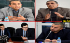 عامل إقليم الدريوش يترأس لقاءً تشاوري من تنظيم مجلس جهة الشرق حول إعداد برنامج التنمية بالجهة