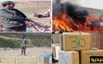 شاهدوا عملية إتلاف كميات كبيرة من المخدرات والسجائر المهربة من طرف جمارك الناظور وهذه قيمتها  