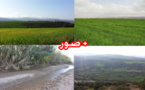 مرتفعات  تمسمان تكتسي حلة خضراء تغـري الزائرين برحلات النزهة والتخييم