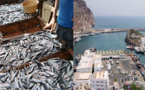 عودة تدريجية لمراكب صيد السردين الى ميناء الحسيمة بعد تطمينات وزير الفلاحة 