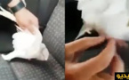 مثير.. مواطنون بدار الكبداني يعثرون على تمائم سحر بجناحي حمامة 