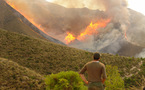النيران تلتهم أزيد من 200 هكتار من القطاع الغابوي لجبال كبدانة