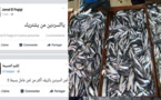 سعر السردين يصل الى 50 درهما بالحسيمة واستنكار عام من طرف الساكنة