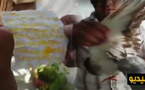مواطن يعثر على "طلاسم" سحر وشعوذة داخل جناحي طائر وسط مدينة الدريوش