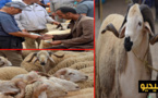 قبيل أيام من "العيد الكبير".. عرض الأضاحي يفوق الطلب في السوق الأسبوعي للدريوش