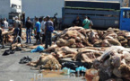مواطنون يطالبون جماعة الناظور بطرح آليات جديدة لتجنب إغراق المدينة بالأزبال أيام عيد الأضحى