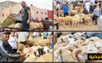 سوق الغنم بأزغنغان ... أسعار مستقرة و العرض يفوق الطلب 