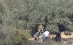 عصابة تحترف سرقة محصول أشجار "الزيتون" بأركمان والفلاحون يطالبون بالإيقاع بعناصرها