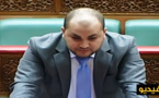 الأندلسي لوزير الإتصال: قنوات القطب العمومي تفقد المصداقية وفي أحداث الحسيمة زورت الحقائق 