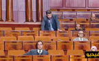 البرلماني فاروق الطاهري يسائل الوزيرة عن وضعية الصناعة التقليدية بالناظور والدريوش