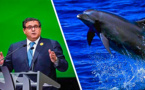 النيكرو ينسف مجهودات أخنوش بالحسيمة