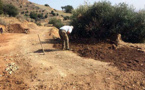 جمعية ثراعكشة للتنمية والبيئة تبادرلإصلاح وتوسيع الطريق القروية الرابطة بين دواري ثراعكشة وتحدوست