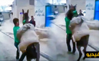  فيديو يوثق تعذيب "حمار" بتمسمان يثير موجة سخط على صفحات التواصل الاجتماعي
