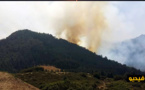 إندلاع حريق مهول بغابة الأرز باقليم الحسيمة والسلطات تعلن حالة إستنفار‎ لمحاصرته