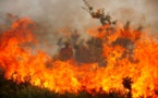 جهة الحسيمة ثانيا.. 78 حريقا التهم 111 هكتارا من الغابات منذ بداية السنة الجارية