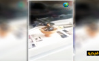شاهدوا ما قامت به زوجة مهاجر مغربي مقيم بهولندا في منزلهما قبل هروبها إلى المغرب