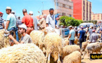 ربورتاج ينقل أجواء سوق المواشي بـ"دار الكبداني" ويرصد أسعار الأضاحي
