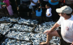  بيع السمك خارج سوق "الدلالة" من طرف التجار الوافدين على ميناء الحسيمة تثير استياء المهنيين 