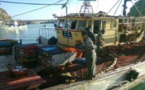 ميناء الحسيمة: تفريغ أزيد من 164 طنا من أسماك "الميرفا" وتصديرها خارج الإقليم للمعالجة والتصبير