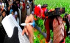 هذا آخر أجل لتسجيل العاملات الموسميات في حقول "الفريز" الإسبانية