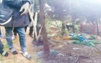 حقوقيون إسبان يتهمون المغرب بإيذاء مهاجرين ضواحي الناظور وطنجة