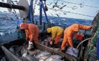 لجنة بالبرلمان الأوروبي تصادق على اتفاق الصيد البحري مع المغرب