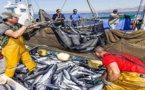 المغرب يطلق مسلسل التصديق على اتفاقية الصيد البحري مع الاتحاد الأوروبي لدخولها حيز التنفيذ
