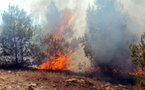 جهود إخماد الحريق الذي شب بمنطقة غابوية بالحسيمة تتواصل والنيران تلتهم حوالي 120 هكتار