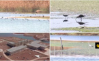 شاهدوا.. أشغال تهيئة منتزه الطيور ببحيرة مارتشيكا تصل مراحلها  الأخيرة